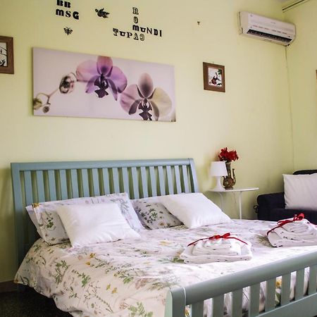 B&B Msg Roma Buitenkant foto